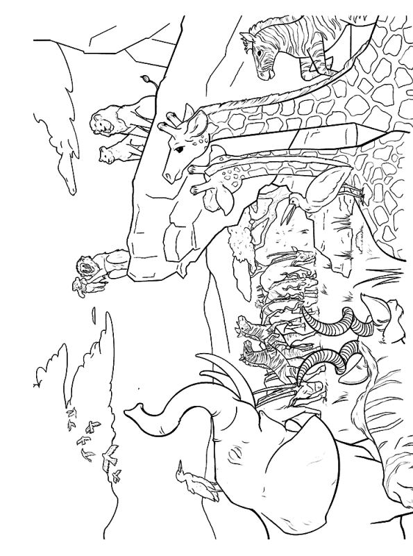 Coloring page Lion KIng 2019 lion king